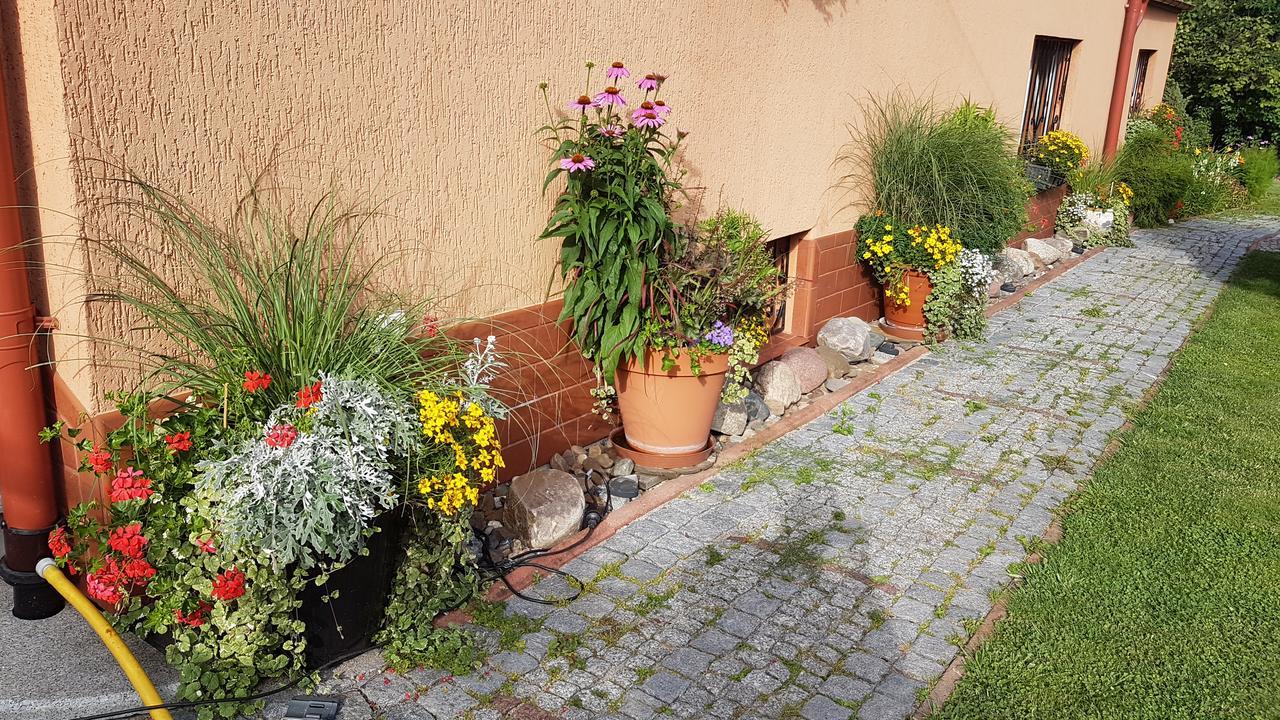 Wanda Apartamento Szczawno-Zdroj Exterior foto