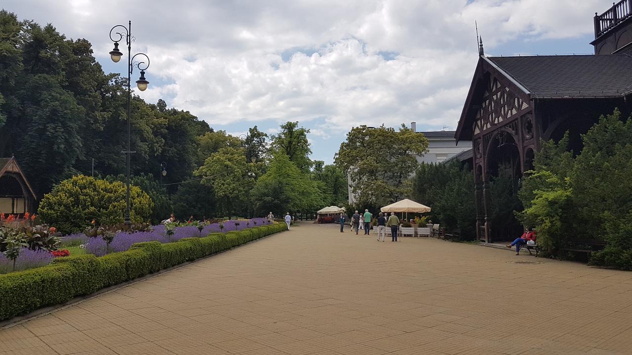 Wanda Apartamento Szczawno-Zdroj Exterior foto